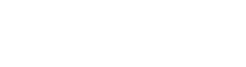سارودی